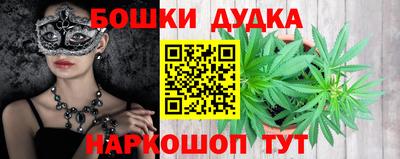 мдпв Будённовск