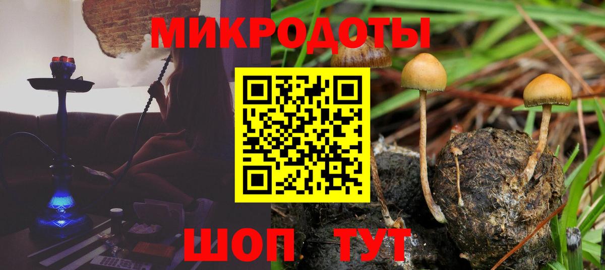 Галлюциногенные грибы MAGIC MUSHROOMS  закладки  Галлюциногенные грибы прущие грибы  Шахты  Вход с VPN 